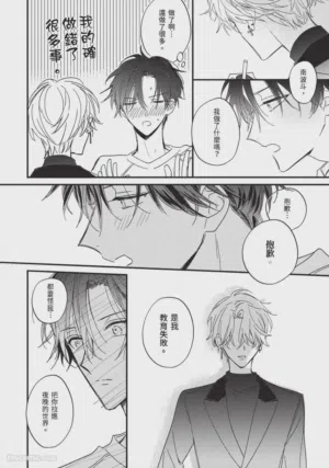 第95頁圖