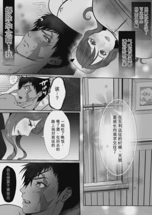 第17页图