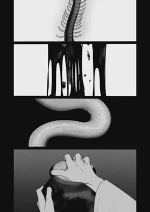 第11页图