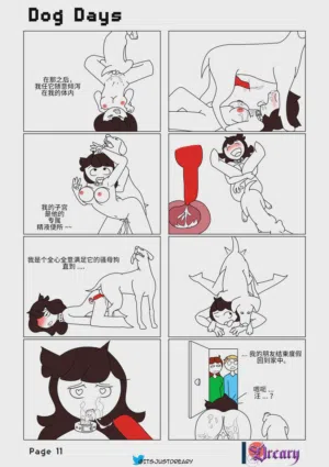 第11页图