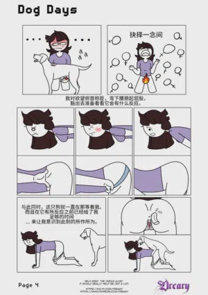 第4页图