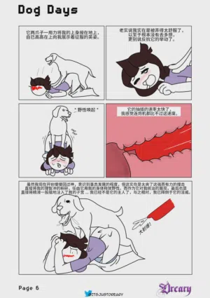 第6页图