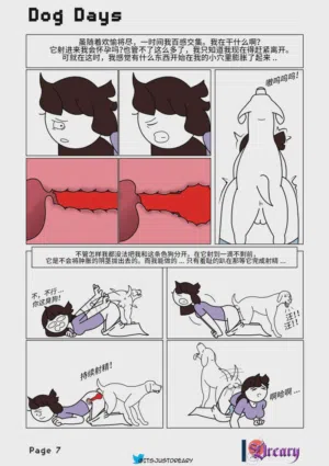 第7页图