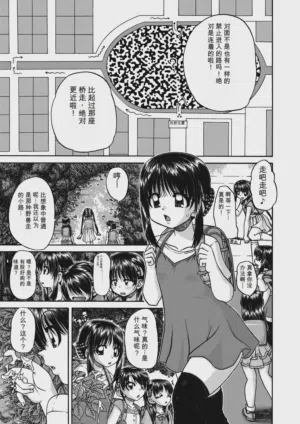 第113頁圖