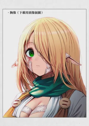 第28页图