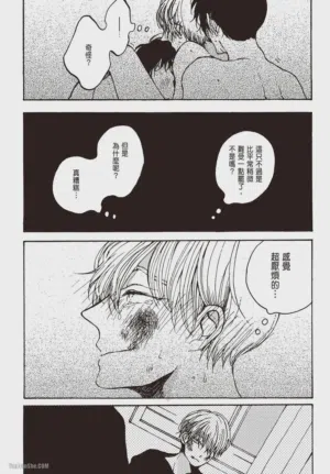 第137頁圖