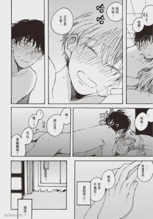 第186頁圖