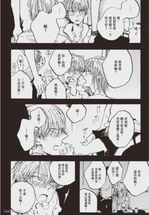 第41頁圖