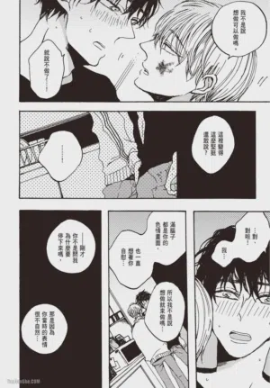 第95頁圖