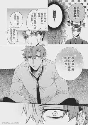 第31頁圖