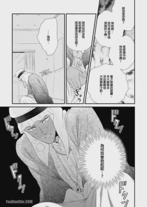 第196頁圖
