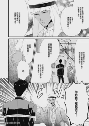 第199頁圖