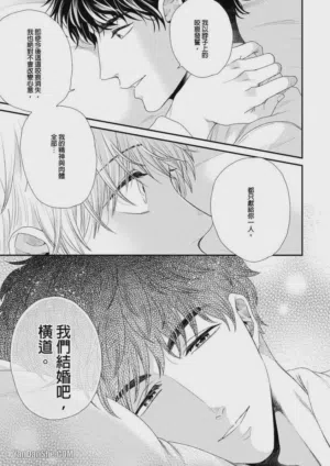第230頁圖