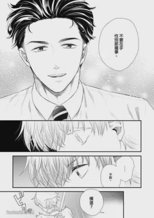 第31頁圖