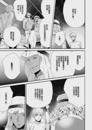 第79頁圖