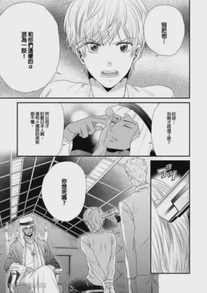 第80頁圖