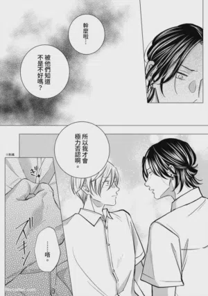 第120頁圖