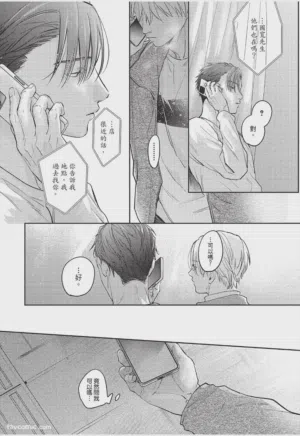 第219页图