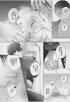 第33页图