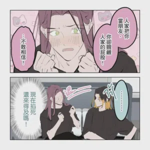 第251頁圖