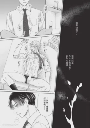 第86頁圖