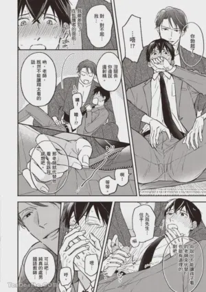 第31頁圖