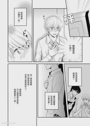 第31頁圖