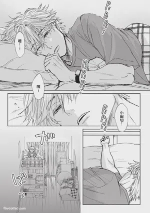 第203頁圖