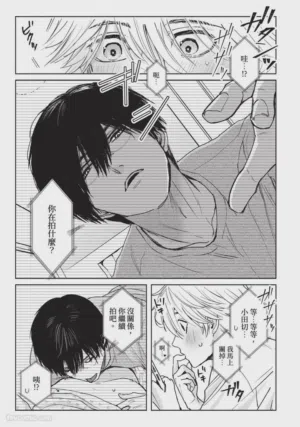 第223頁圖