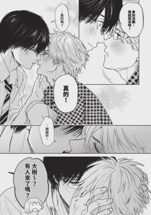第246頁圖