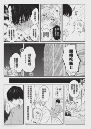 第85頁圖