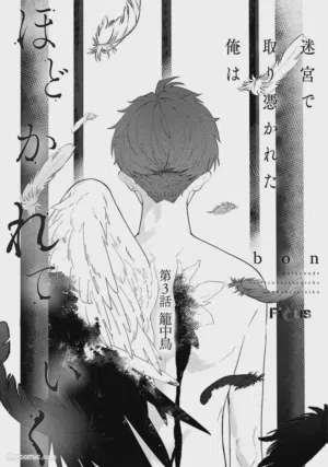 第40頁圖