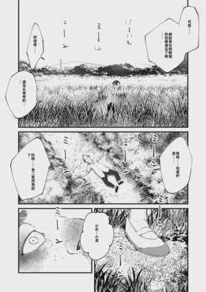 第45頁圖