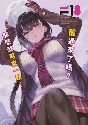 第521頁圖