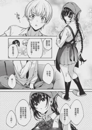 第530頁圖