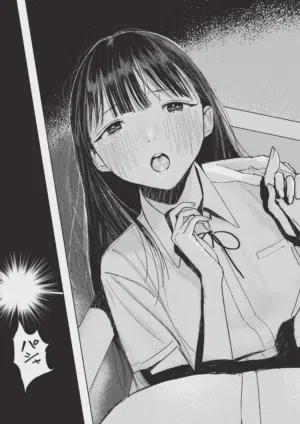 第595頁圖