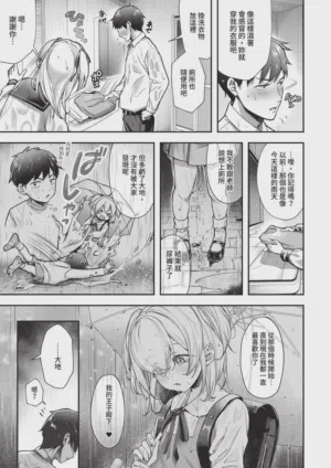 第239頁圖