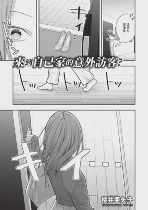 第517頁圖