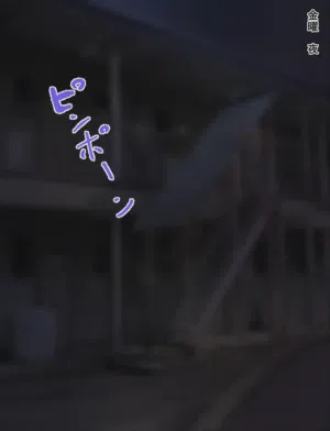 第306頁圖