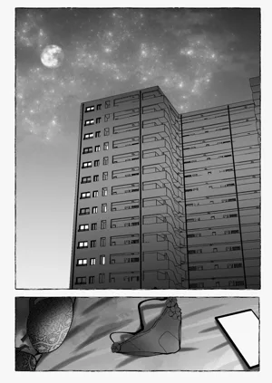 第36頁圖