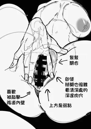 第64頁圖