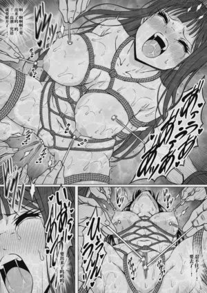 第51頁圖
