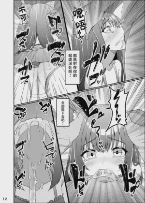 第12页图