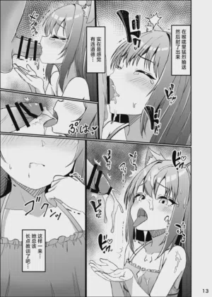 第13页图