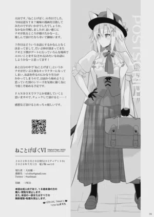 第33页图
