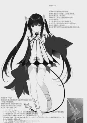 第27頁圖