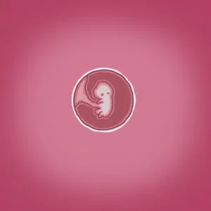 第56页图