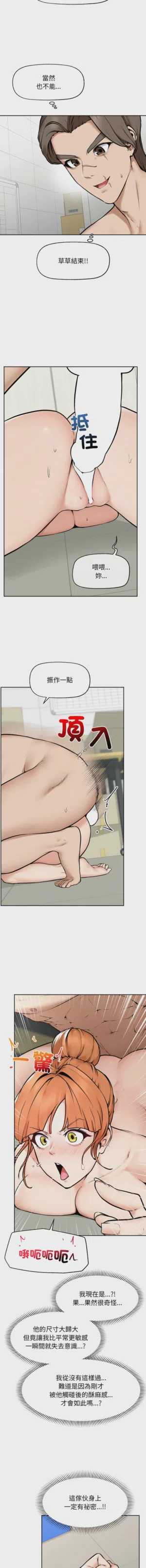 第238頁圖