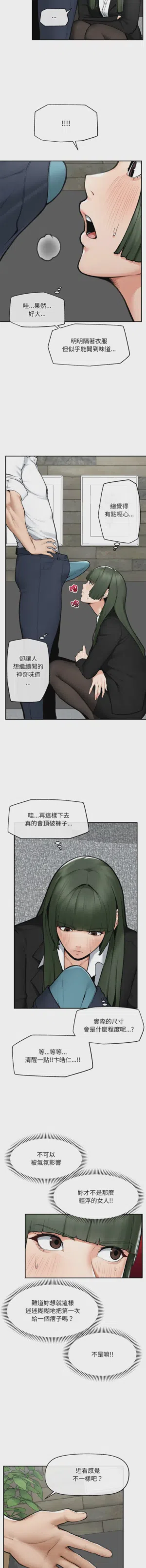 第386頁圖