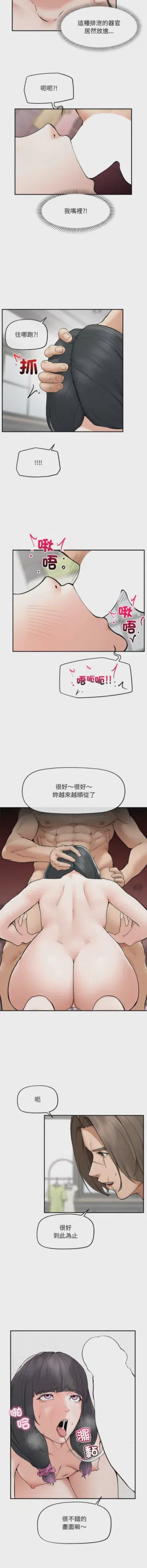 第510頁圖